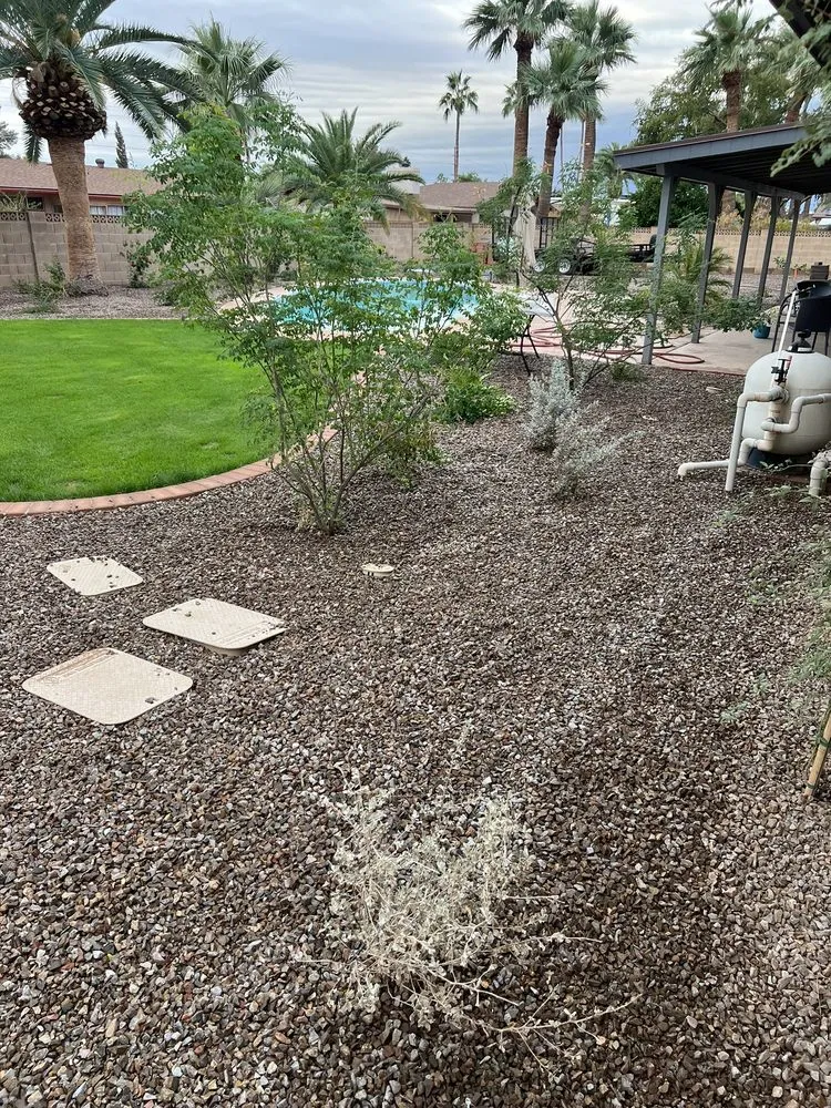 Custom yard cleanup service in Apache Junction, AZ - SAZ Hardscaping