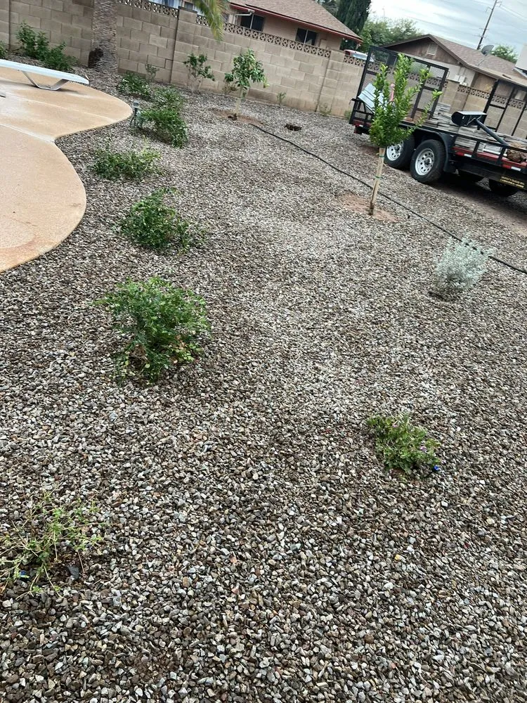 Reliable outdoor landscaping in Apache Junction, AZ by SAZ Hardscaping