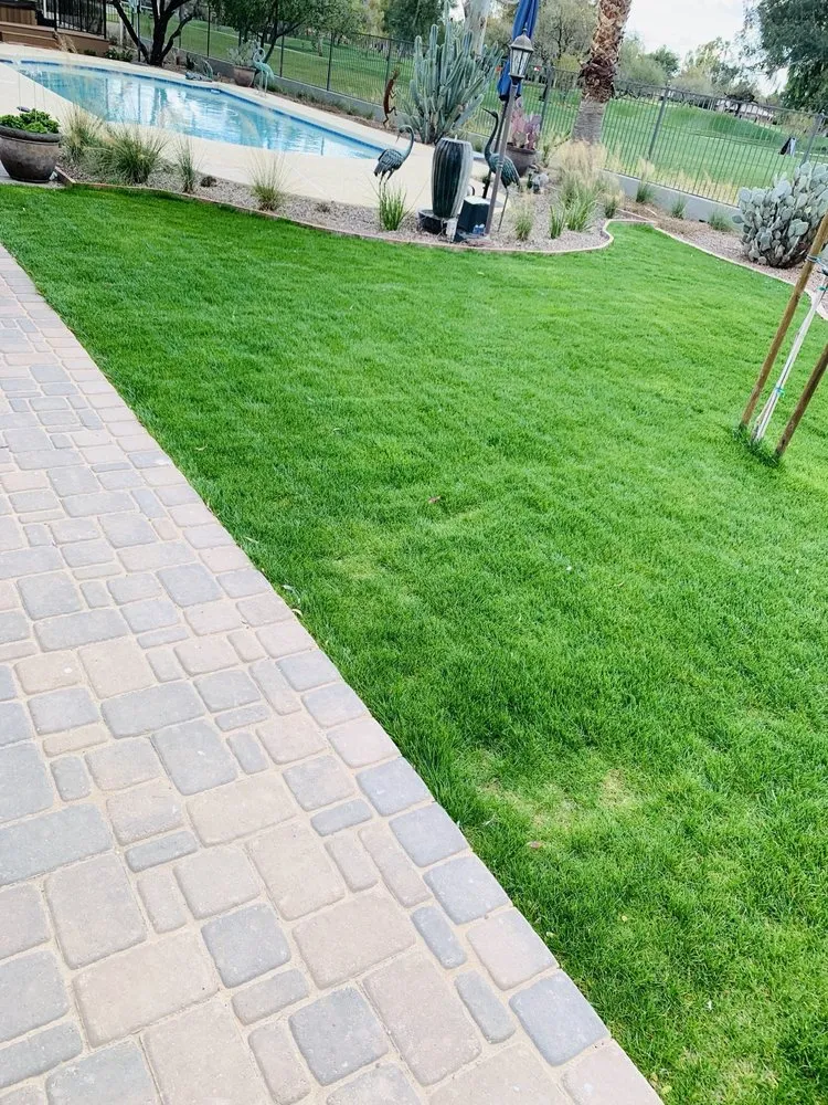 Reliable outdoor landscaping for beautiful yards in Apache Junction, AZ by SAZ Hardscaping