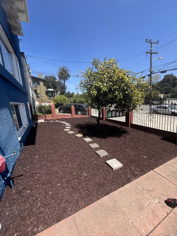 Reliable lawn mowing service for beautiful yards across Sausalito, CA - SB Construction and Landscape