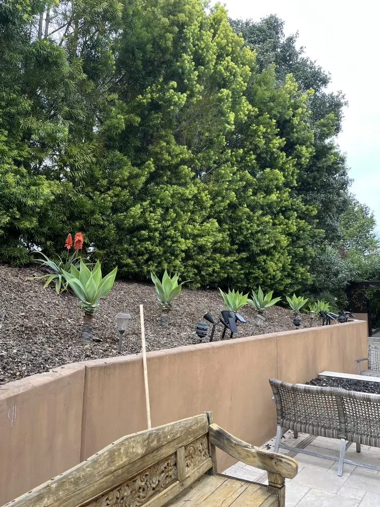 Top-rated landscape installation in Sausalito, CA - SB Construction and Landscape
