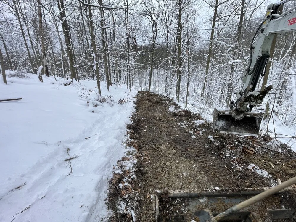 Professional yard cleanup service experts serving Brunswick, OH - SB Construction