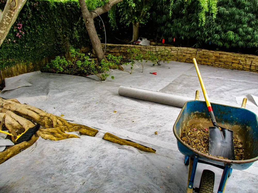 Top-rated yard cleanup service in Santa Barbara, CA by SB Evolution Landscape