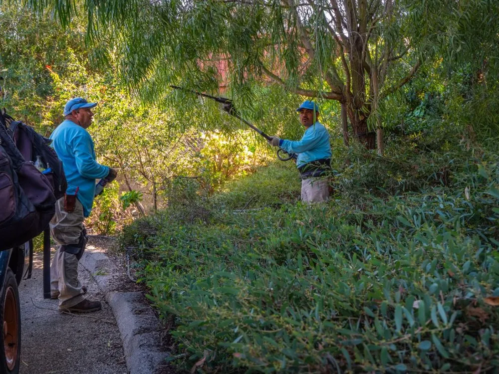 Custom outdoor landscaping for beautiful yards in Santa Barbara, CA by SB Evolution Landscape