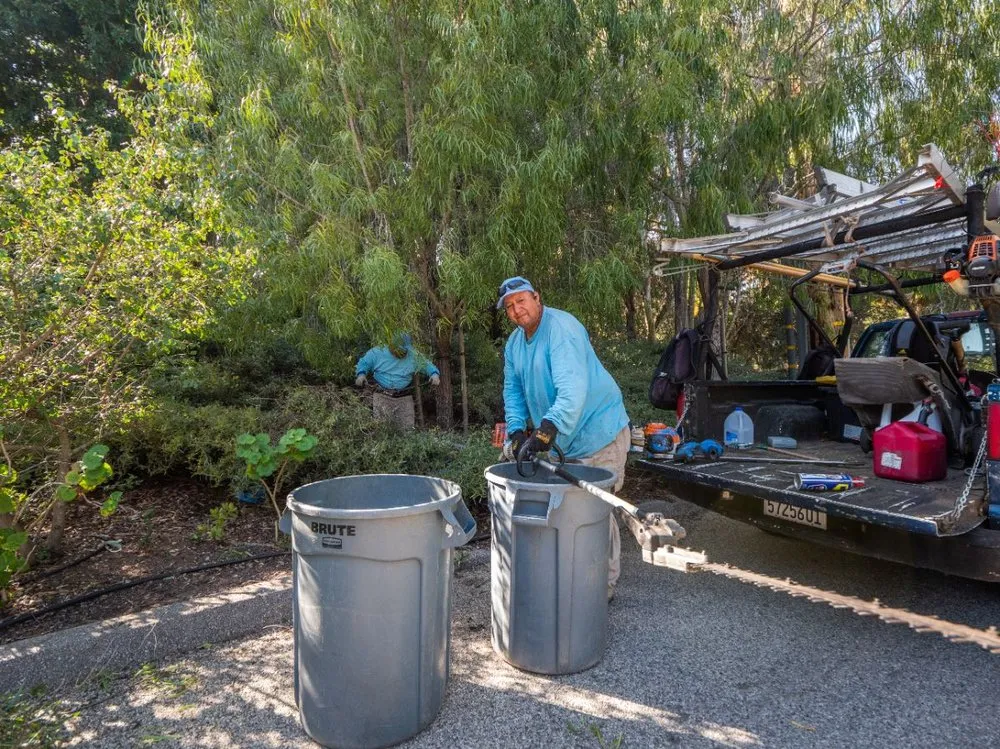 Expert yard cleanup service in Santa Barbara, CA by SB Evolution Landscape