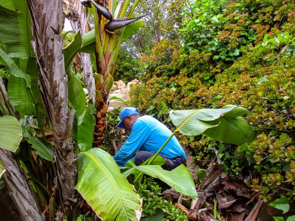 Affordable garden landscaping near you across Santa Barbara, CA - SB Evolution Landscape