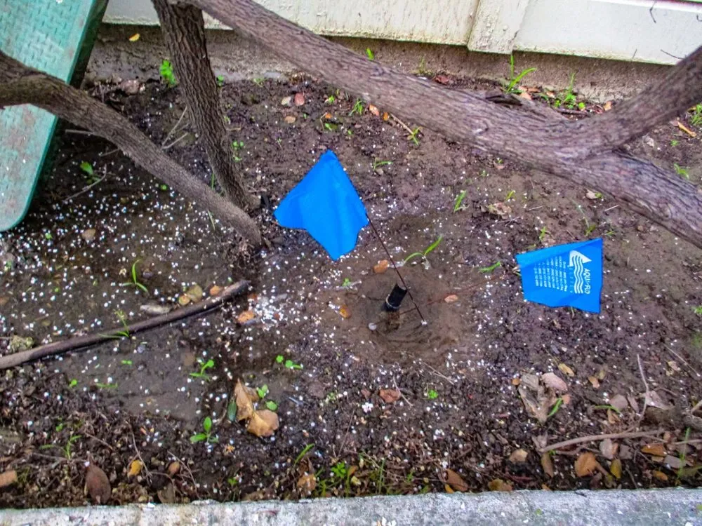 Top-rated outdoor landscaping near you across Santa Barbara, CA - SB Evolution Landscape