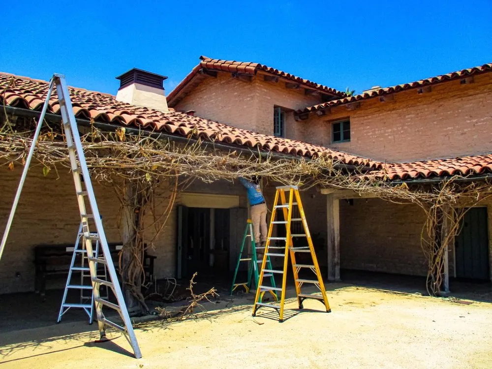 Reliable yard cleanup service for beautiful yards across Santa Barbara, CA - SB Evolution Landscape