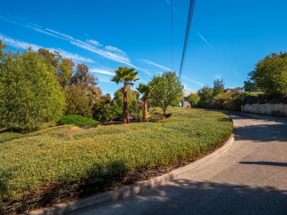 Reliable yard cleanup service in Santa Barbara, CA - SB Evolution Landscape