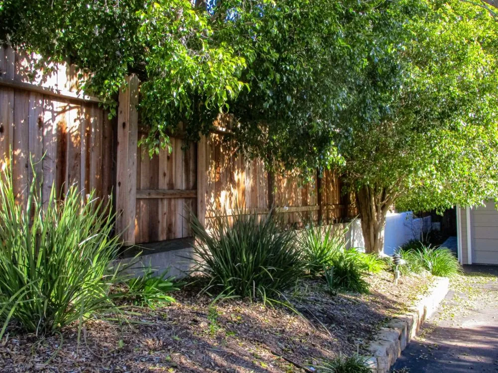 Expert lawn mowing service in Santa Barbara, CA by SB Evolution Landscape