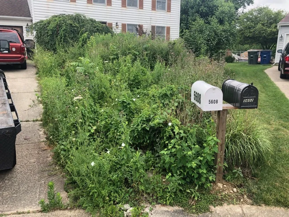 Expert landscaping services in New Carlisle, OH - S&B Improvements