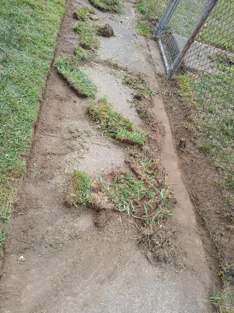 Top-rated lawn mowing service in New Carlisle, OH - S&B Improvements