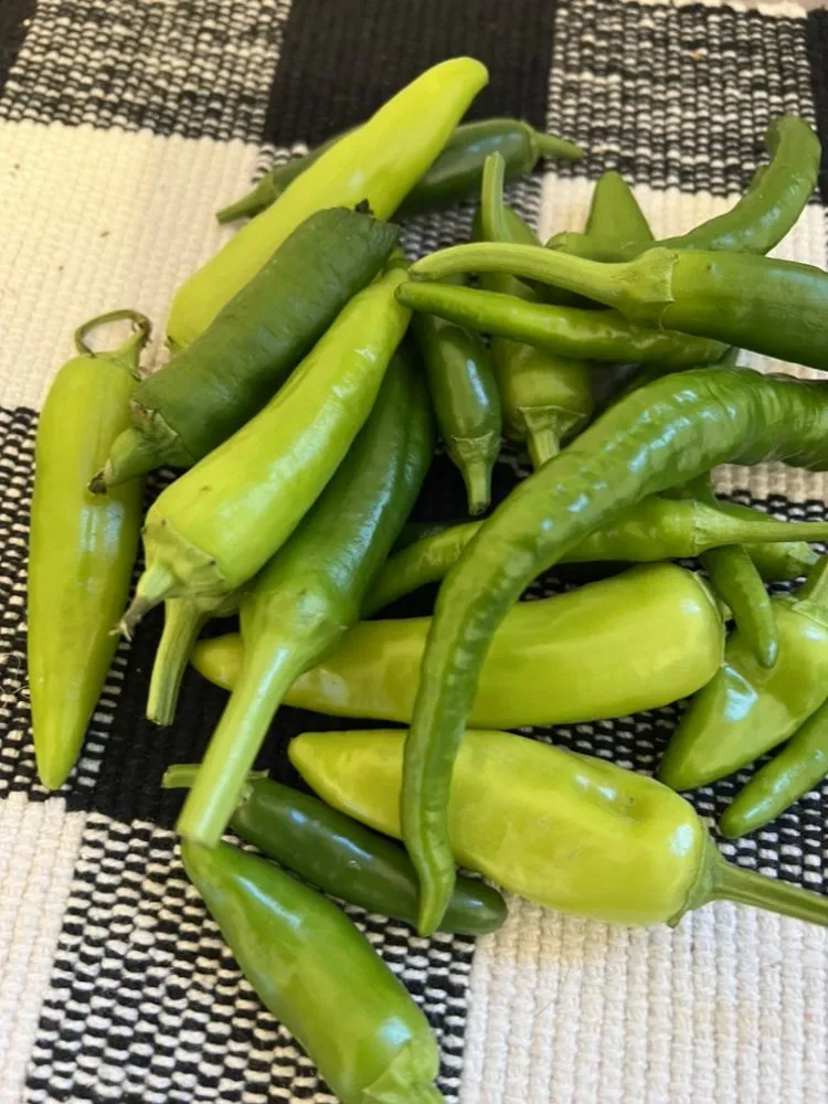 Expert residential landscaping experts serving Austell, GA - S&B Land Control