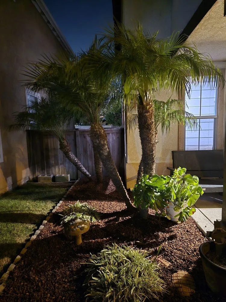 Local landscape design with custom design in Santa Barbara, CA by Sb Landscape Solutions