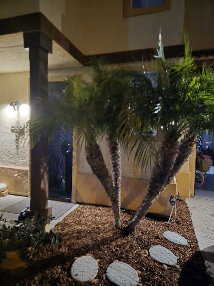 Affordable landscaping services experts serving Santa Barbara, CA - Sb Landscape Solutions