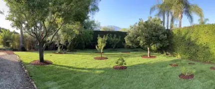 Expert residential landscaping experts serving Santa Barbara, CA - Sb Landscape Solutions