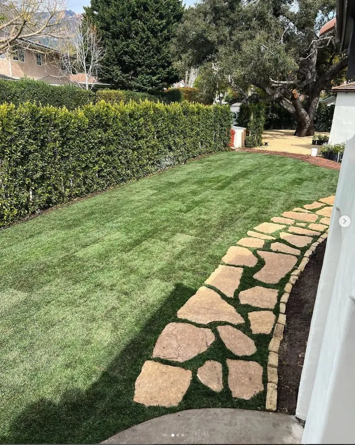 Top-rated yard cleanup service in Santa Barbara, CA - Sb Landscape Solutions