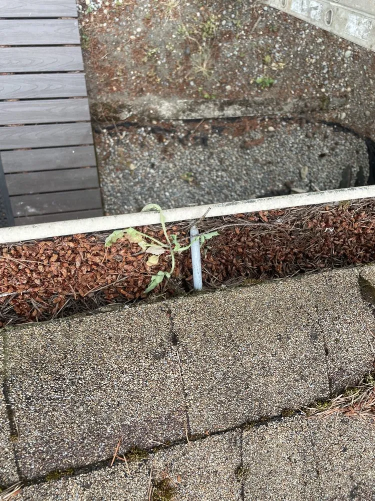 Trusted residential landscaping in Olympia, WA by SB Landscaping