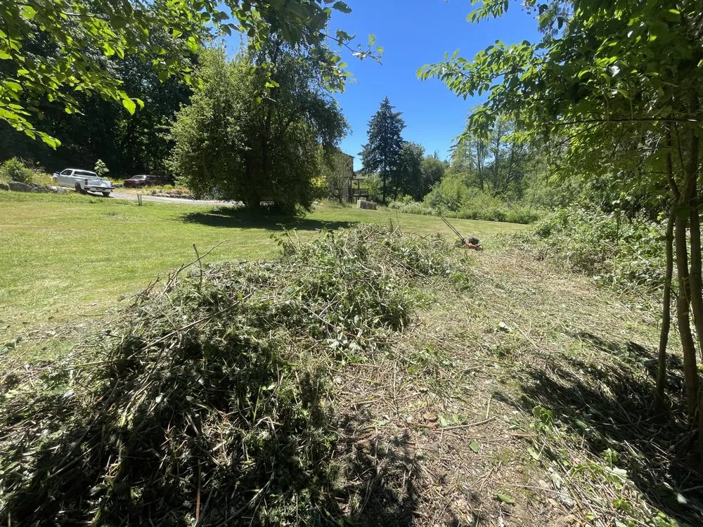 Affordable residential landscaping in Olympia, WA by SB Landscaping