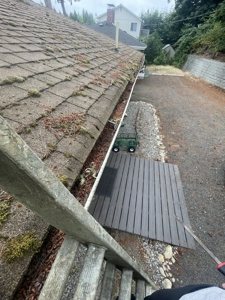 Expert yard cleanup service for outdoor upgrades in Olympia, WA by SB Landscaping