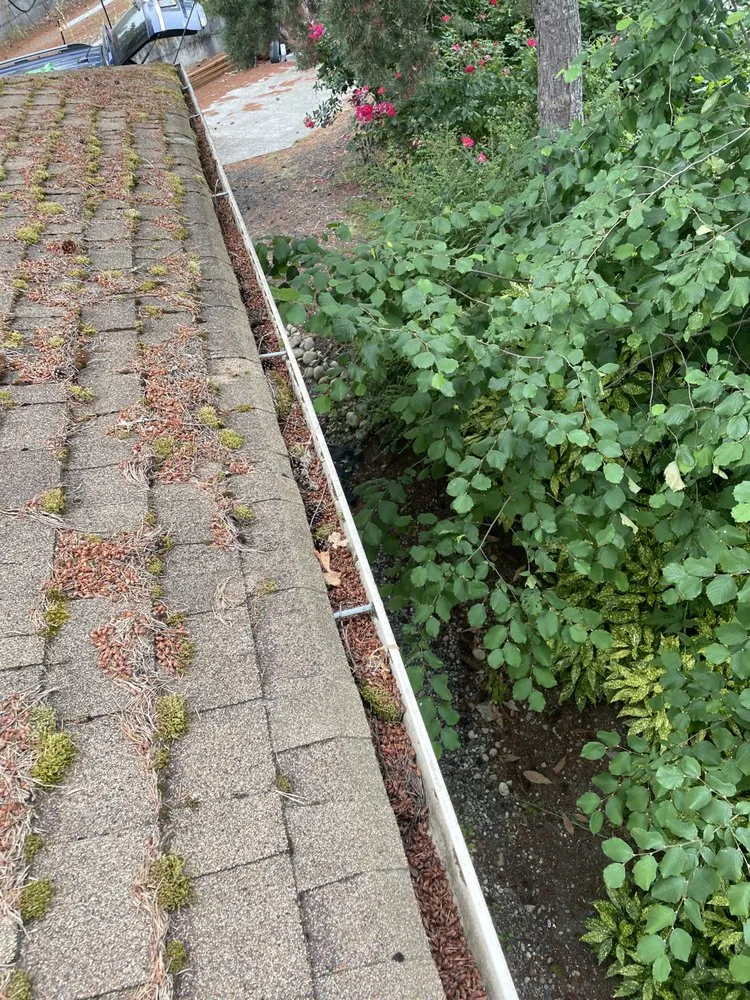 Local outdoor landscaping for residential properties in Olympia, WA by SB Landscaping