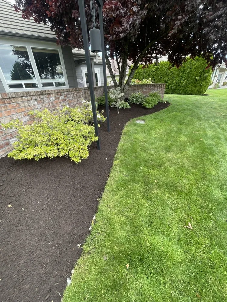 Local lawn care service experts serving Olympia, WA - SB Landscaping