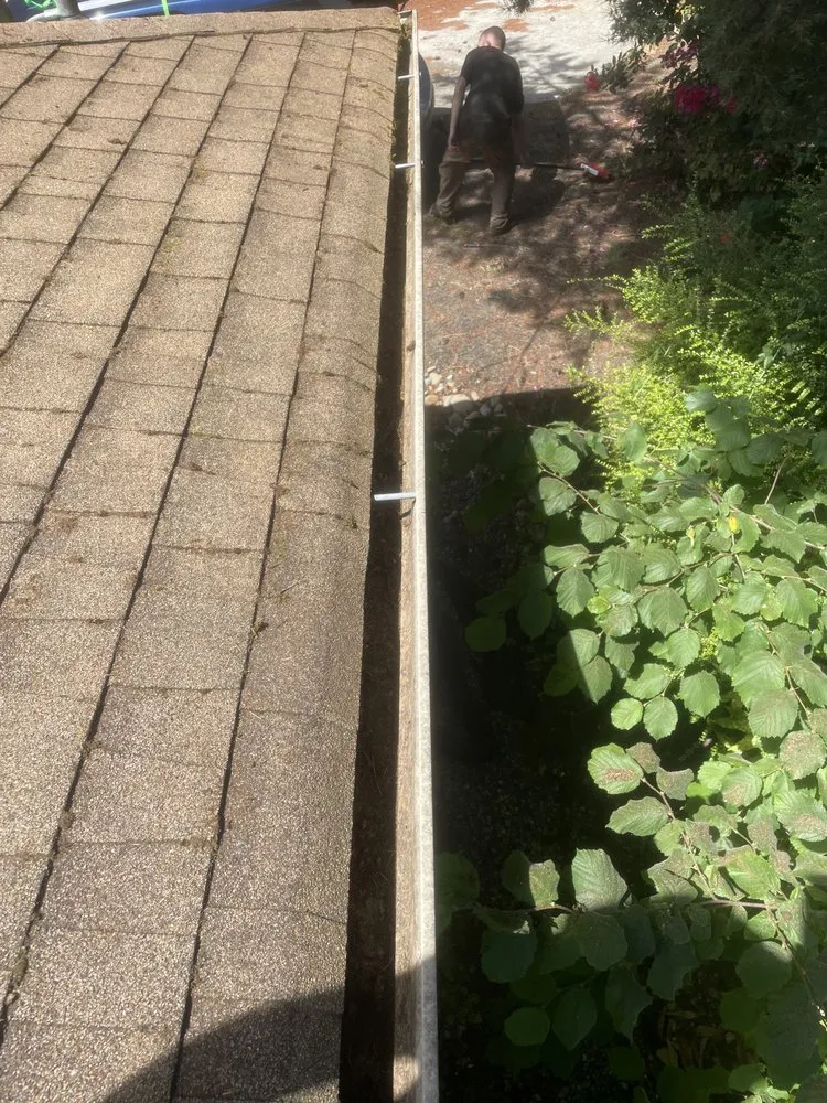 Custom yard maintenance for outdoor upgrades in Olympia, WA by SB Landscaping