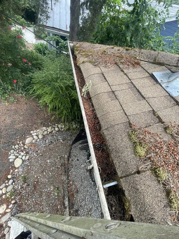 Affordable landscaping services with custom design in Olympia, WA by SB Landscaping