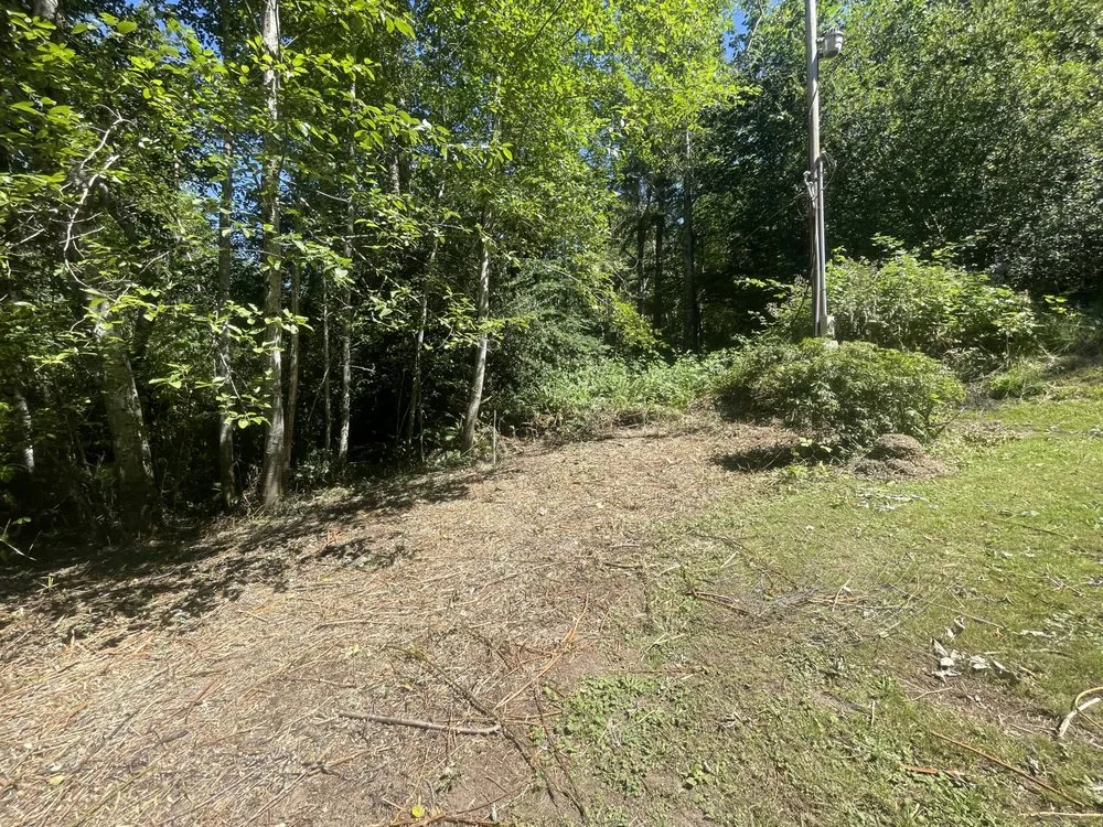 Top-rated lawn mowing service for year-round maintenance in Olympia, WA by SB Landscaping