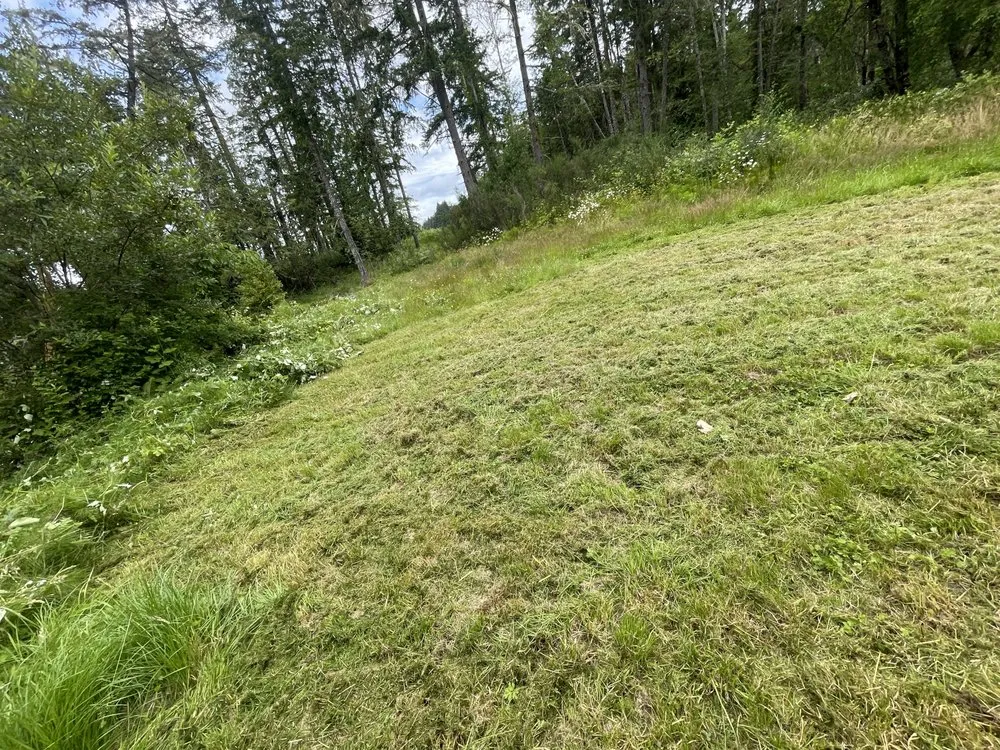 Trusted landscaping services in Olympia, WA by SB Landscaping