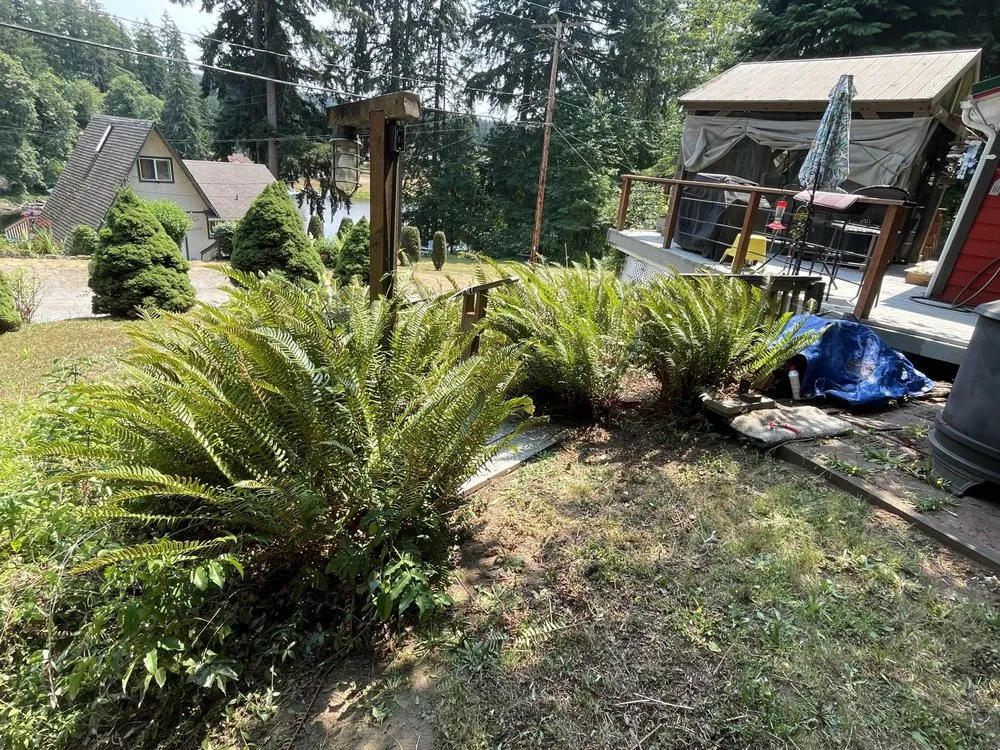 Local garden landscaping experts serving Olympia, WA - SB Landscaping