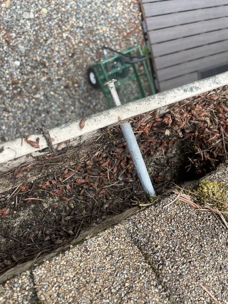 Top-rated yard maintenance experts serving Olympia, WA - SB Landscaping