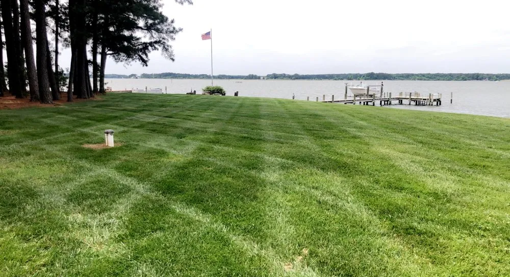 Professional lawn care service for year-round maintenance across Royal Oak, MD - S&B Landscaping
