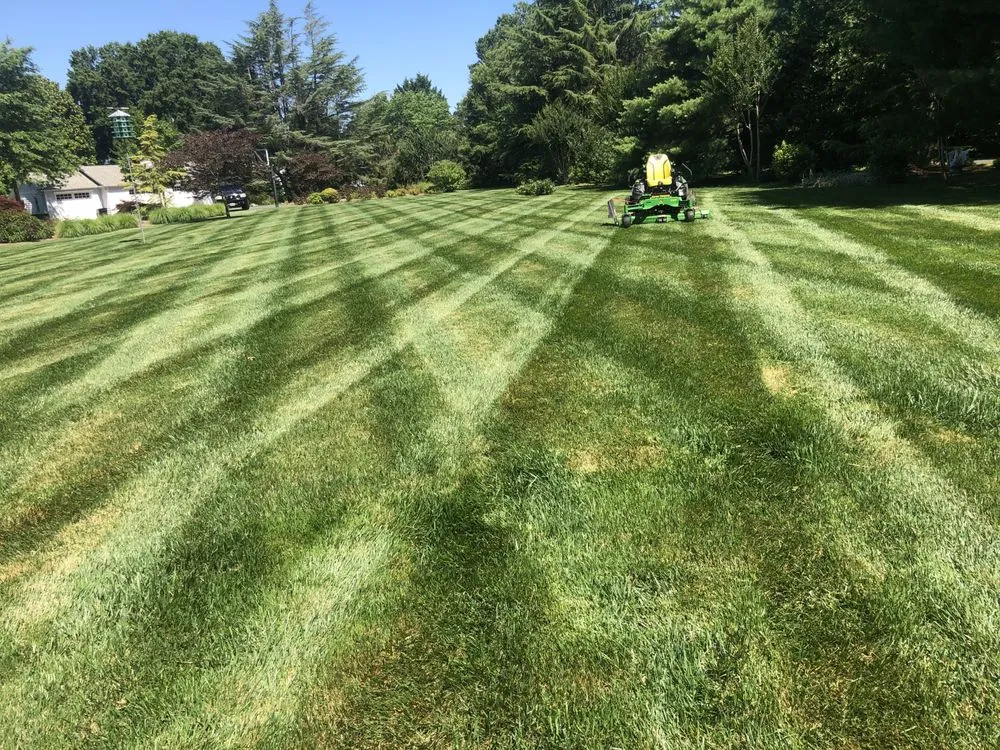 Professional yard cleanup service experts serving Royal Oak, MD - S&B Landscaping
