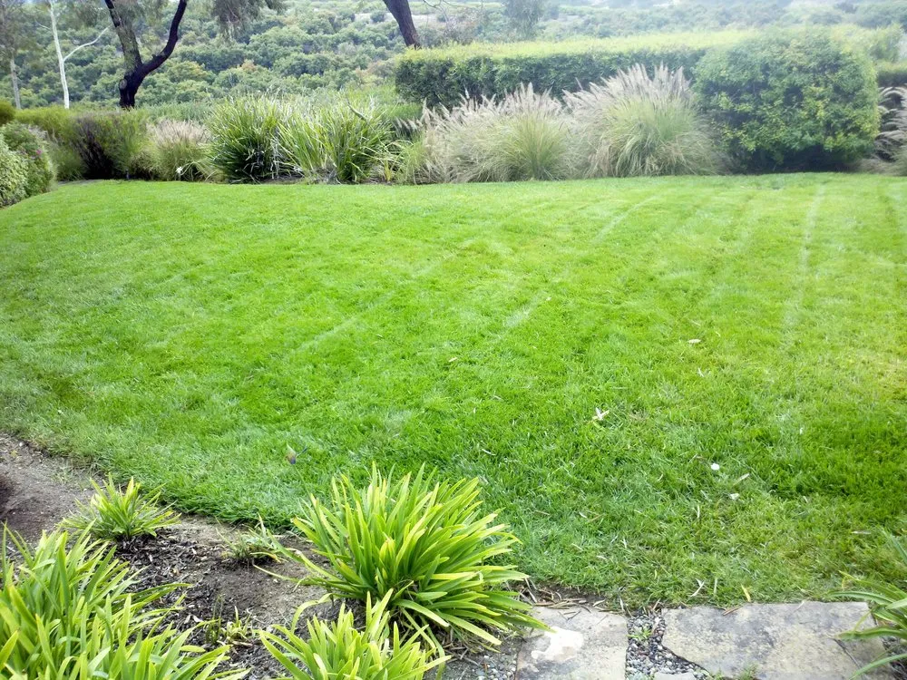 Expert yard maintenance experts serving Santa Maria, CA - SB Landscaping