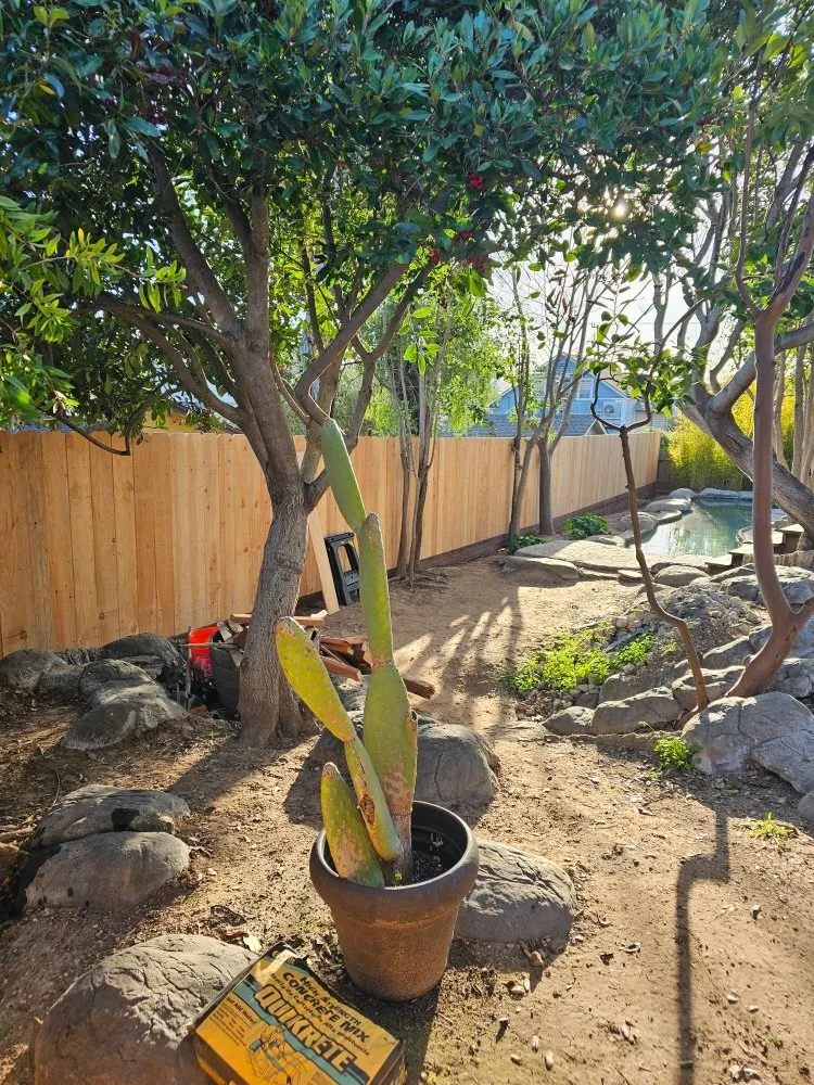 Affordable garden landscaping for outdoor upgrades across Santa Maria, CA - SB Landscaping