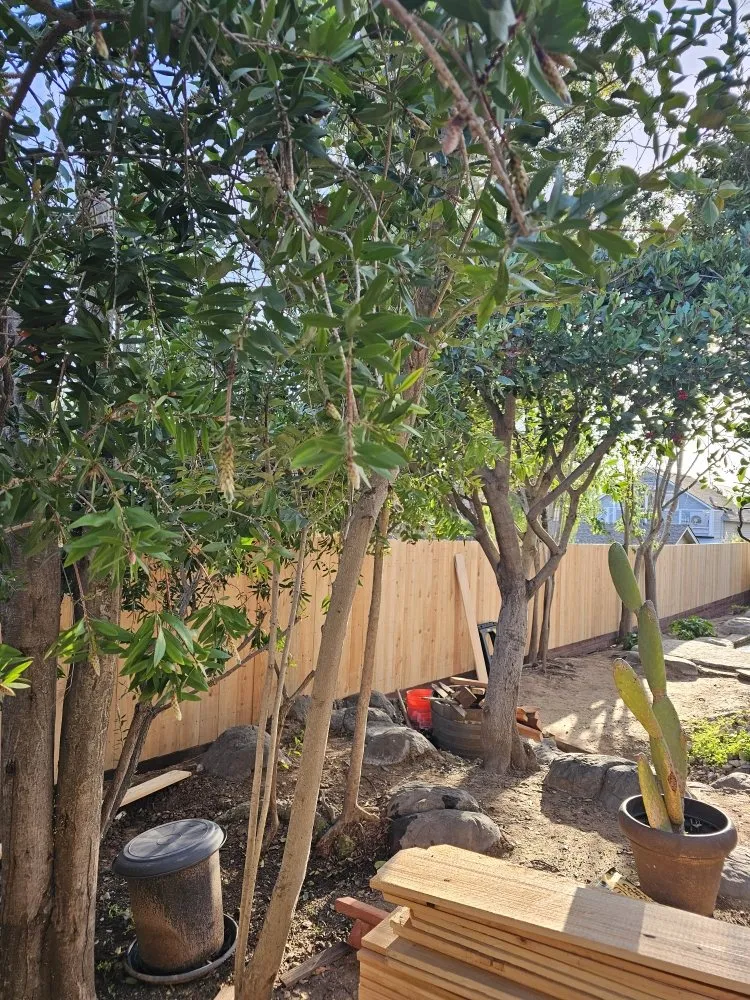 Professional landscaping services experts serving Santa Maria, CA - SB Landscaping