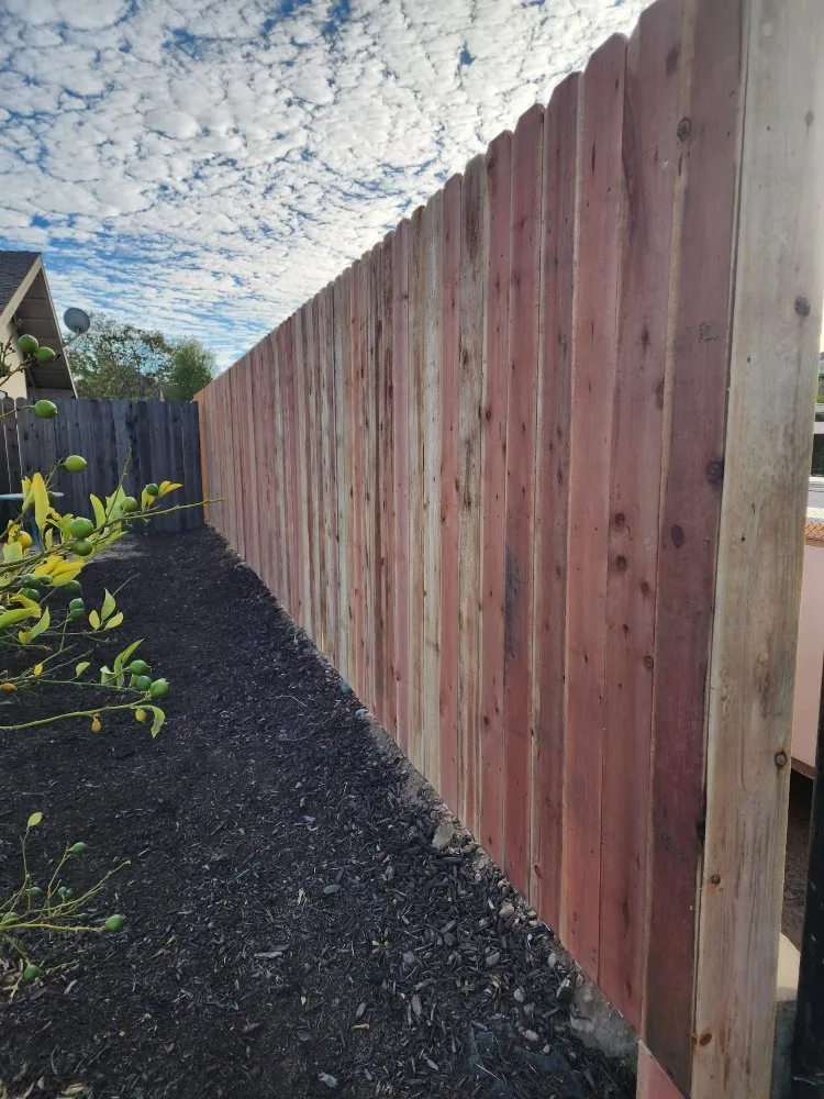 Expert yard maintenance experts serving Santa Maria, CA - SB Landscaping