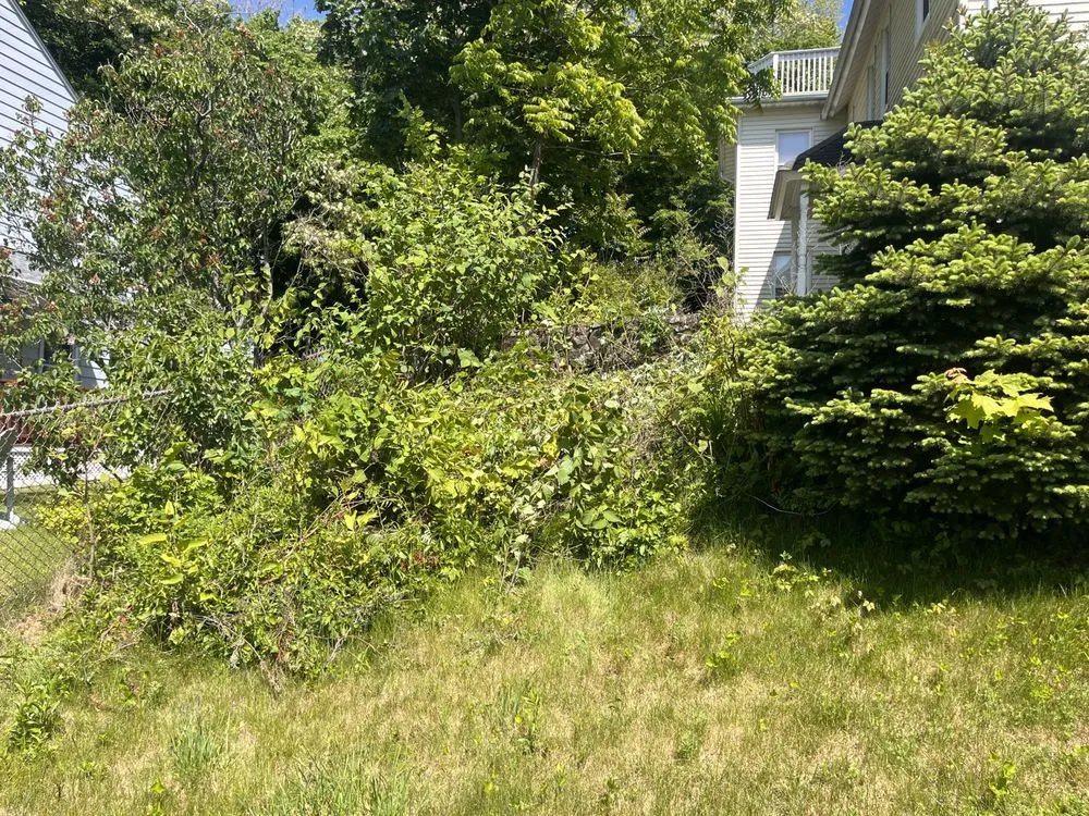 Expert yard cleanup service in Watertown, CT - S&B Landscaping