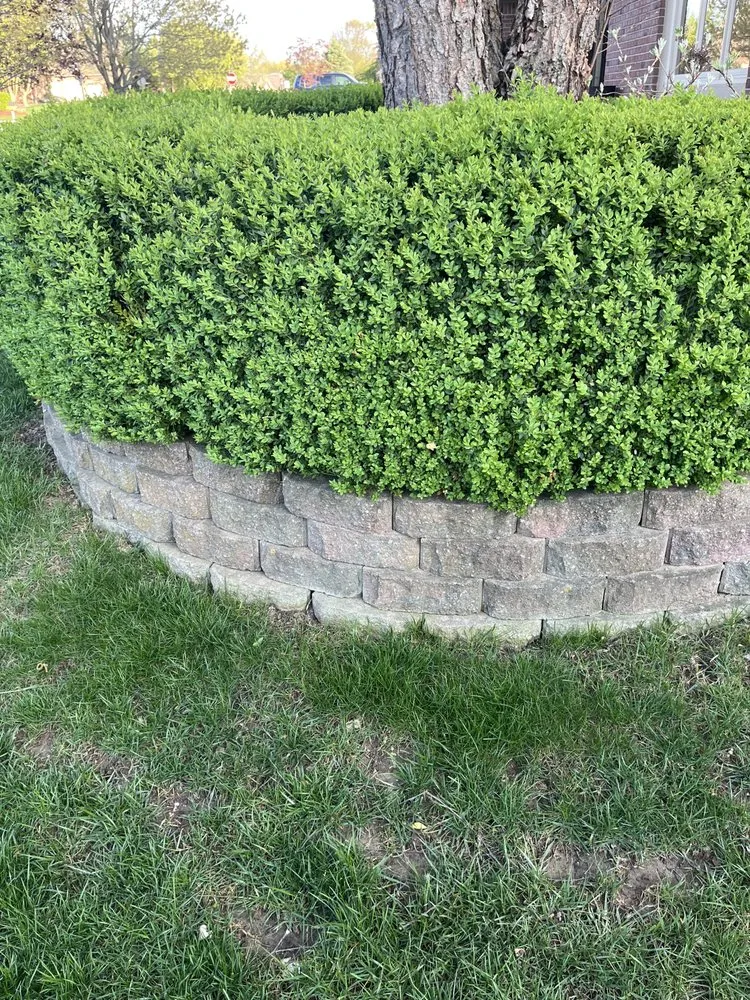 Expert residential landscaping in Greenwood, IN by S&B Lawn Care