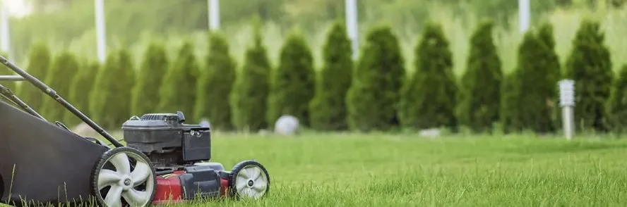 Expert landscaping services in Mooresville, NC - S&B Lawn Care