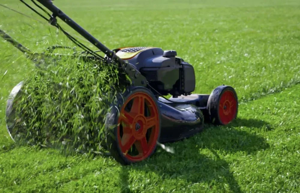 Professional outdoor landscaping in Mooresville, NC - S&B Lawn Care