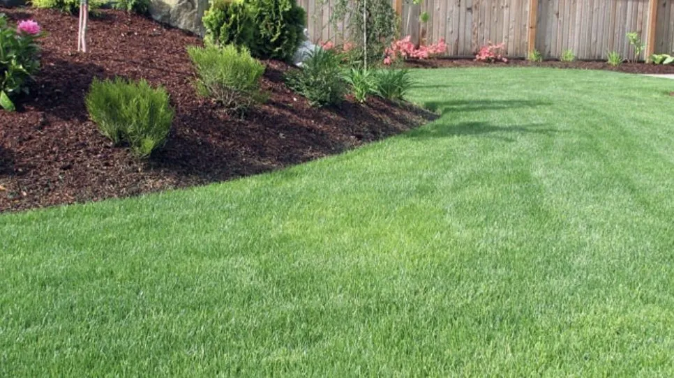 Local yard maintenance in Mooresville, NC - S&B Lawn Care