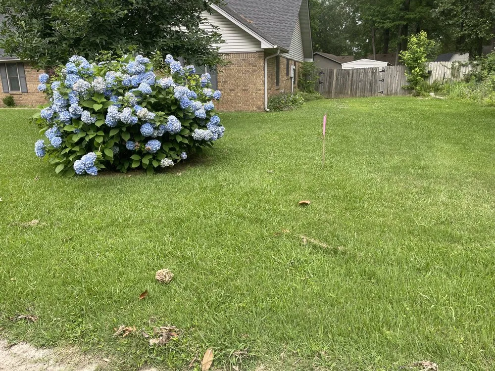 Expert yard maintenance in Searcy, AR - S&B Lawn Care