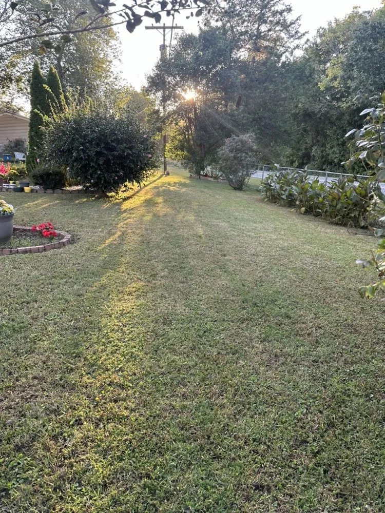 Custom yard cleanup service experts serving Mebane, NC - S&B Lawn Care Service
