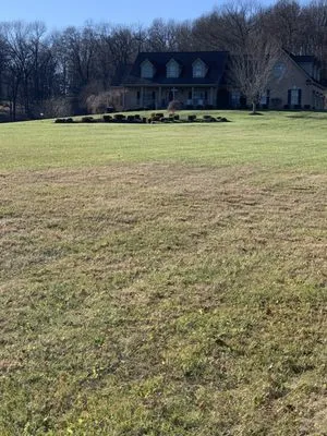SB Lawn Maintenance
