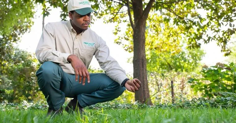 Top-rated lawn care service for beautiful yards across Starke, FL - S&B Lawn Services