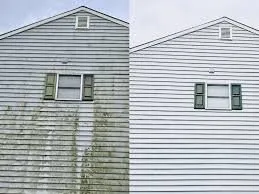 Reliable residential landscaping experts serving Starke, FL - S&B Lawn Services