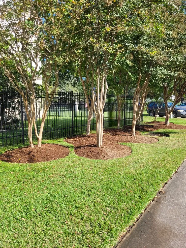 Local landscape design for homes in Houston, TX by SB Lawnservice and Landscaping