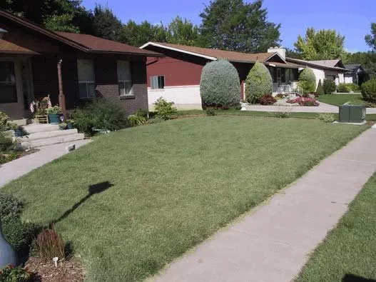 Custom outdoor landscaping for year-round maintenance across Burleson, TX - S&B Mowing and Sevices